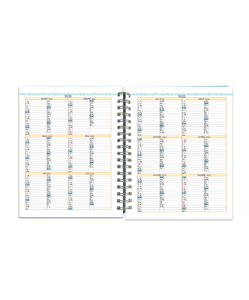 2025 Dodo Pad Original Desk Diary - HARD COVER